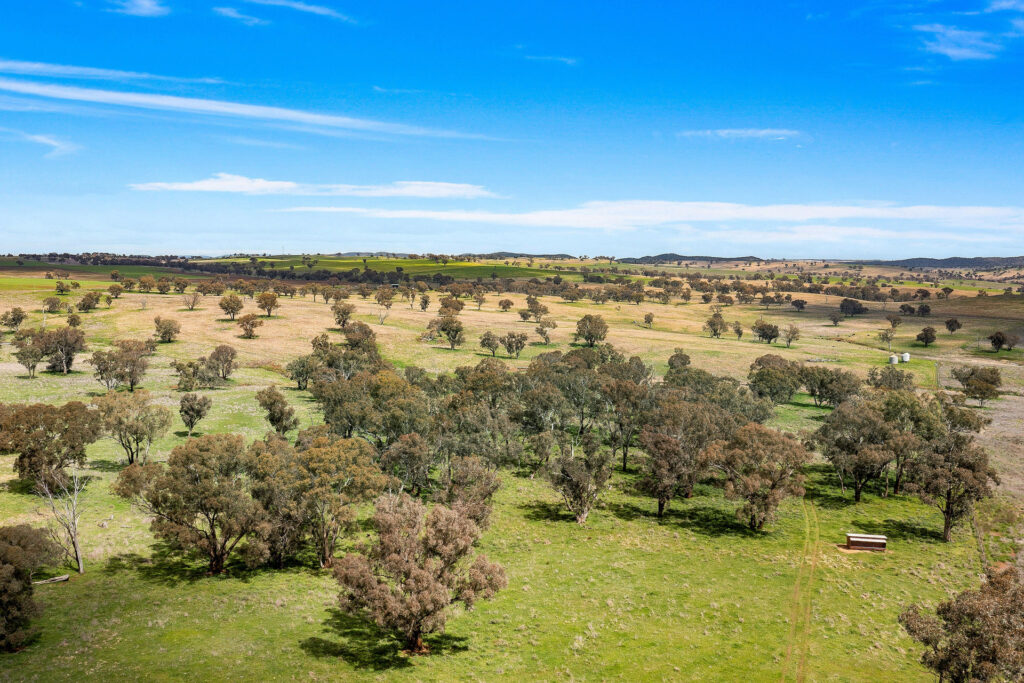113 Three Rivers Road, Molong NSW 2866 - photo 11