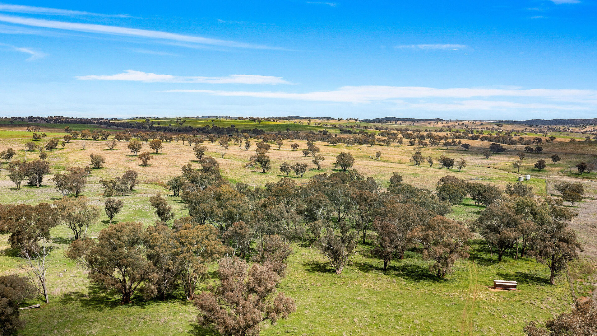 113 Three Rivers Road, Molong NSW 2866 - photo 11