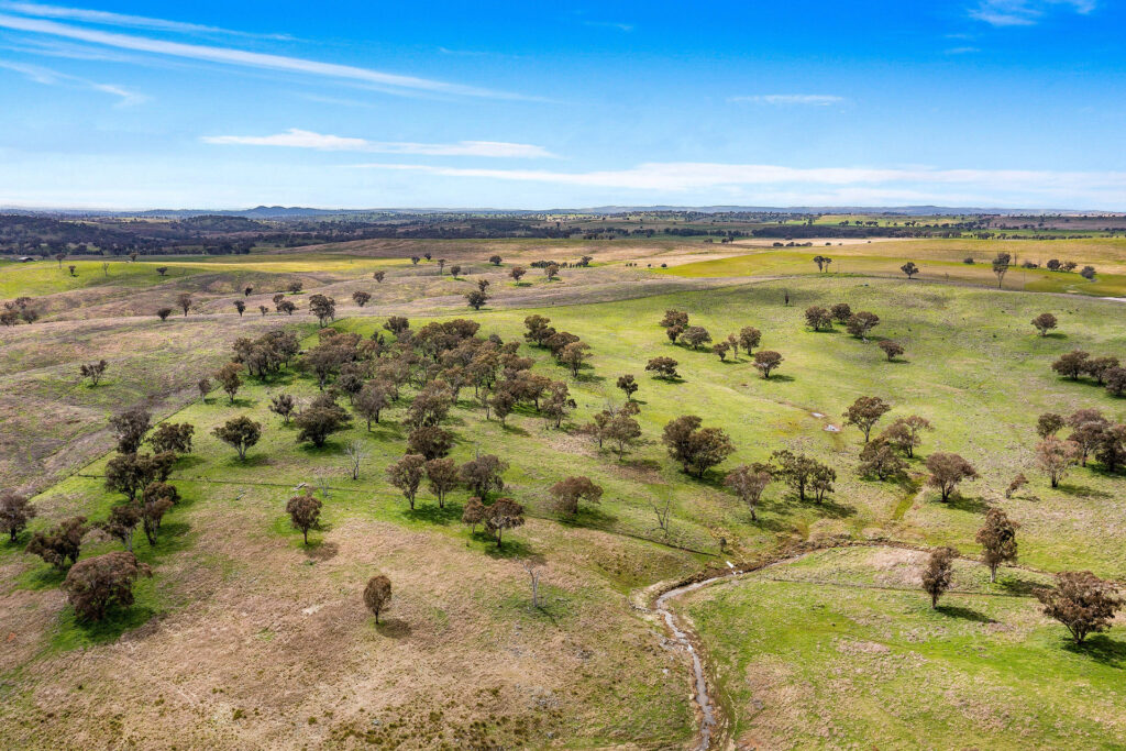 113 Three Rivers Road, Molong NSW 2866 - McGrath Central West