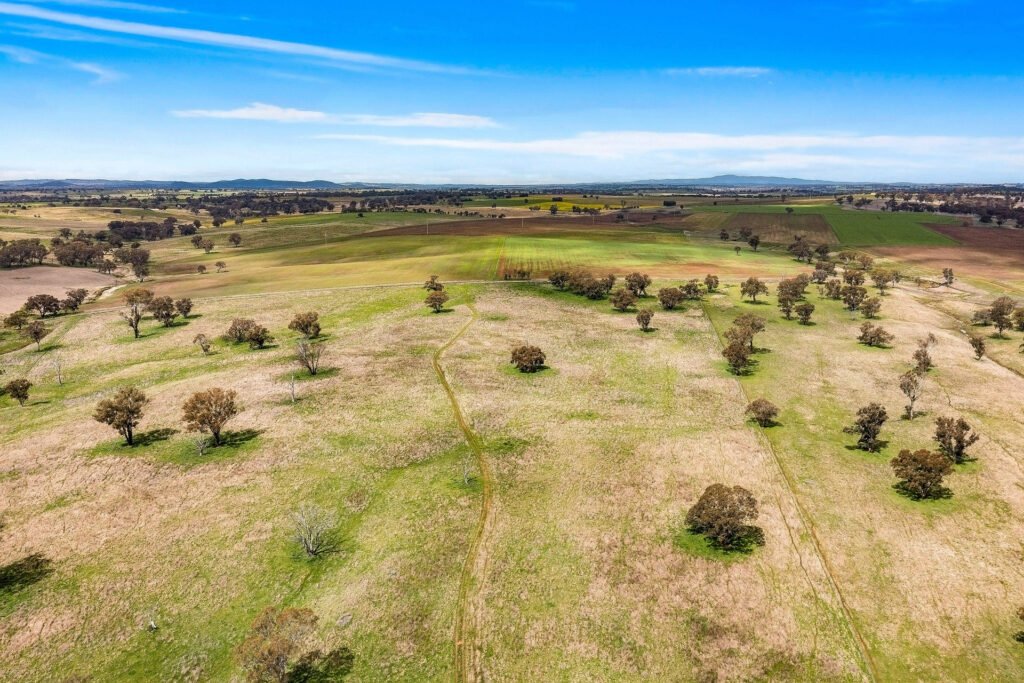 113 Three Rivers Road, Molong NSW 2866 - photo 12