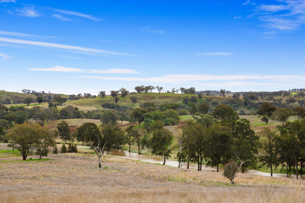 113 Three Rivers Road, Molong NSW 2866 - photo 13