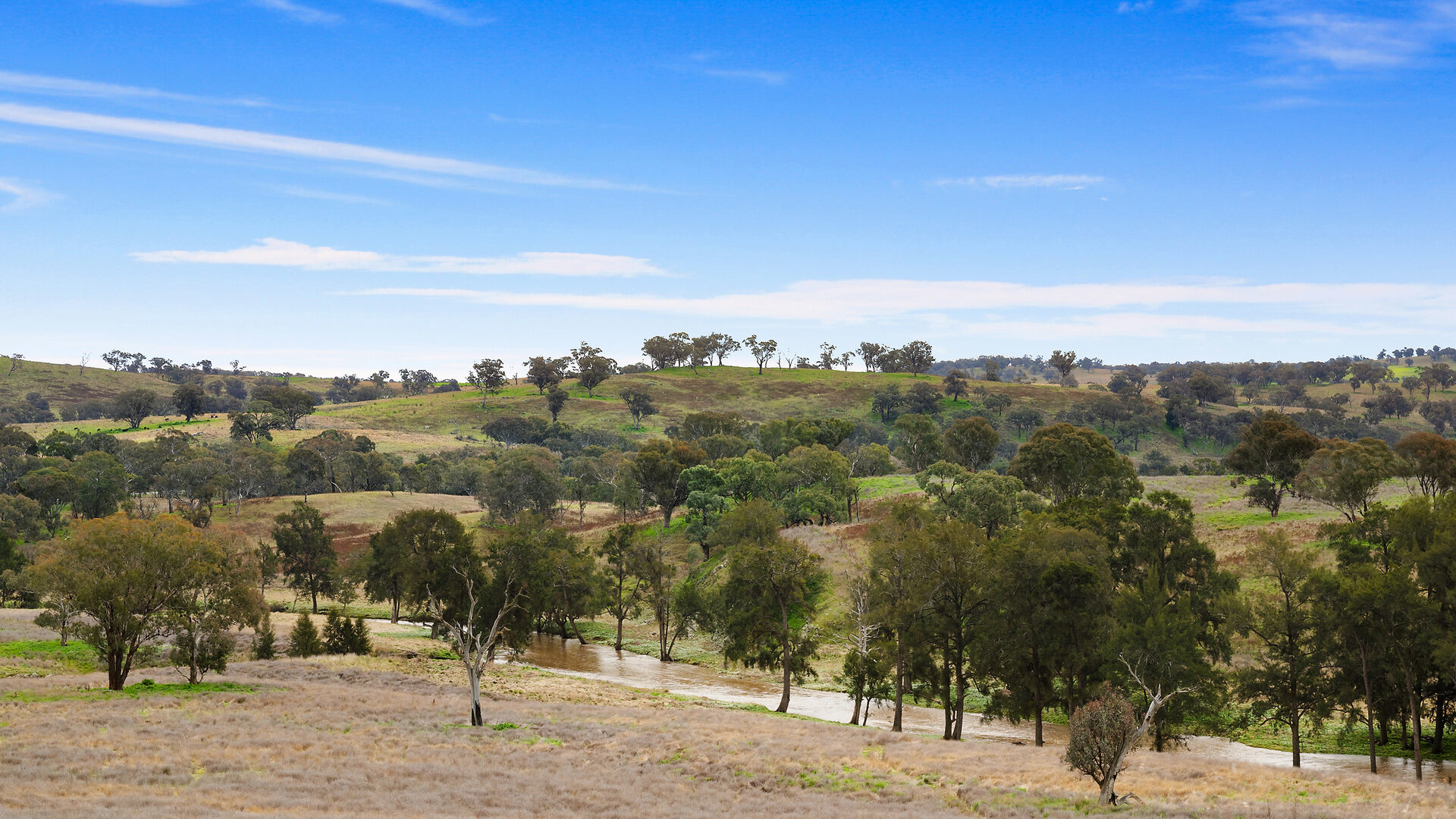 113 Three Rivers Road, Molong NSW 2866 - photo 13