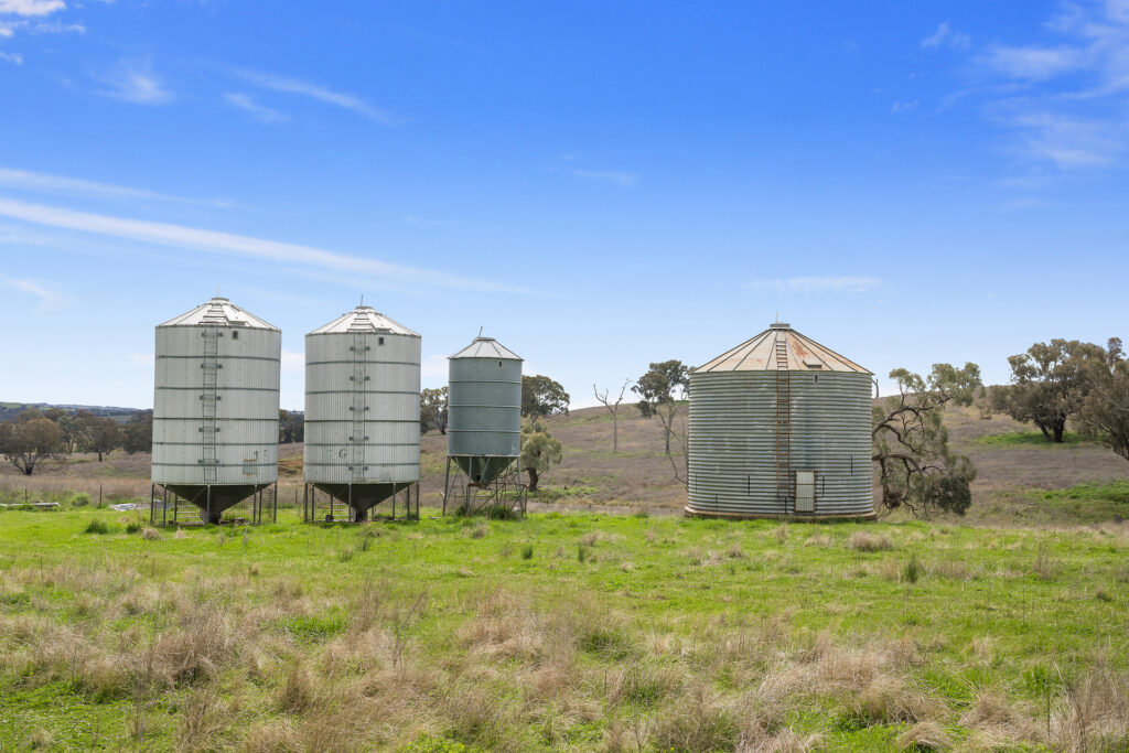 113 Three Rivers Road, Molong NSW 2866 - photo 14