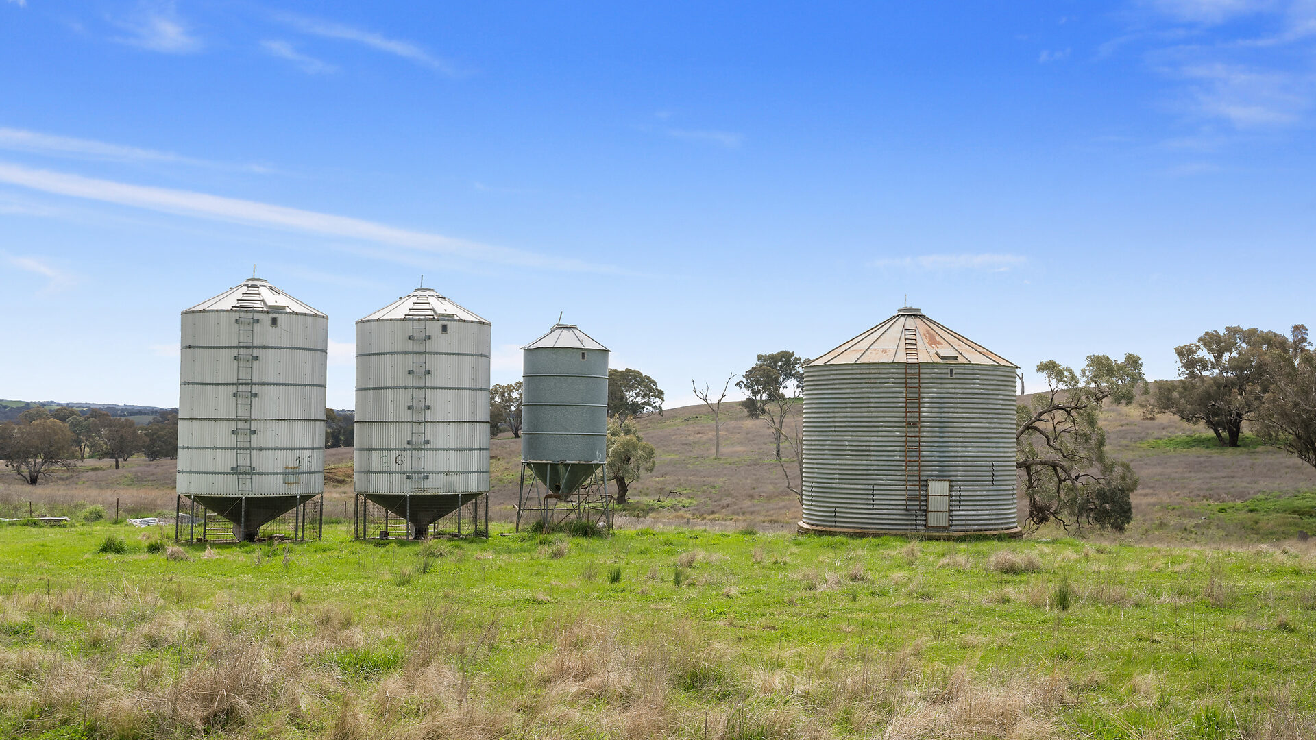 113 Three Rivers Road, Molong NSW 2866 - photo 14