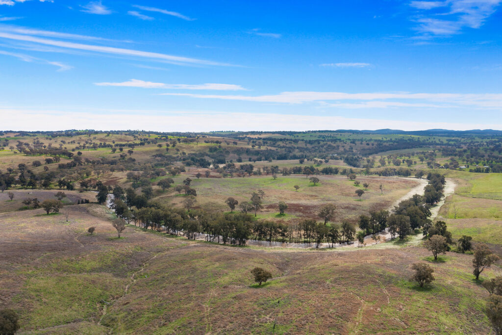 113 Three Rivers Road, Molong NSW 2866 - photo 15