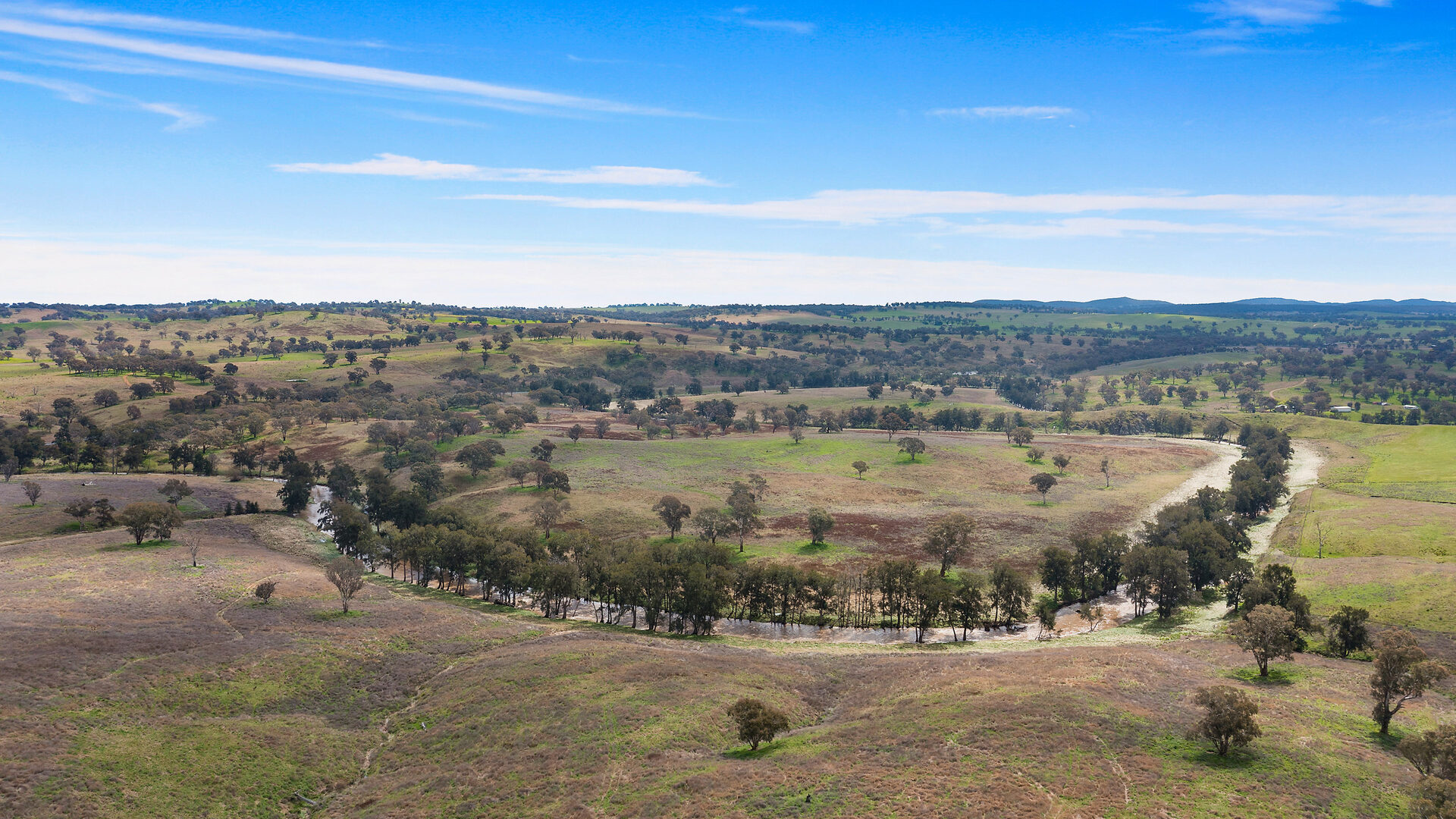 113 Three Rivers Road, Molong NSW 2866 - photo 15