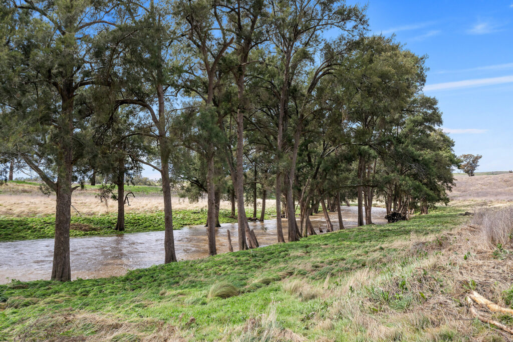 113 Three Rivers Road, Molong NSW 2866 - photo 16