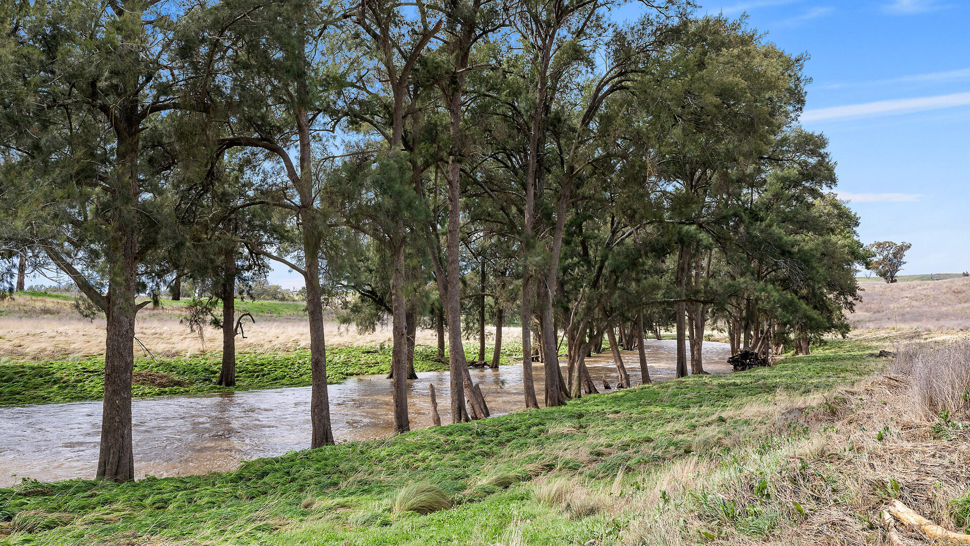 113 Three Rivers Road, Molong NSW 2866 - photo 16