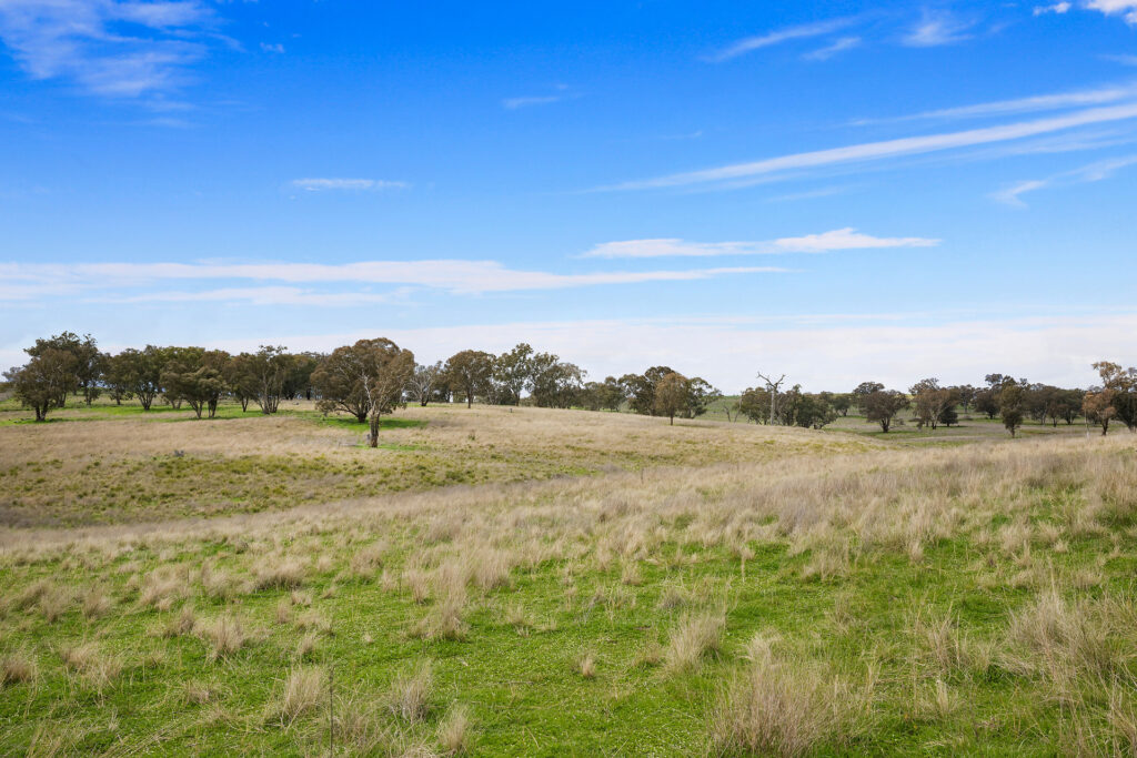 113 Three Rivers Road, Molong NSW 2866 - photo 17