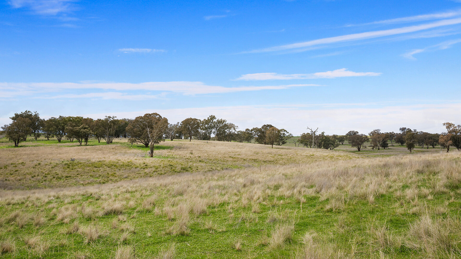 113 Three Rivers Road, Molong NSW 2866 - photo 17