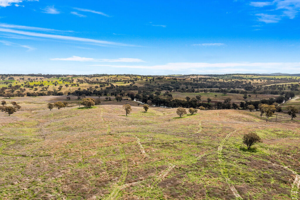 113 Three Rivers Road, Molong NSW 2866 - photo 18