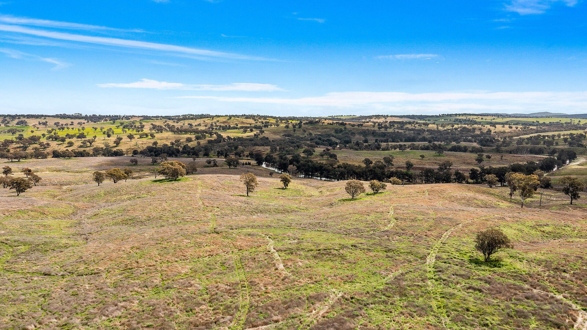 113 Three Rivers Road, Molong NSW 2866 - photo 18