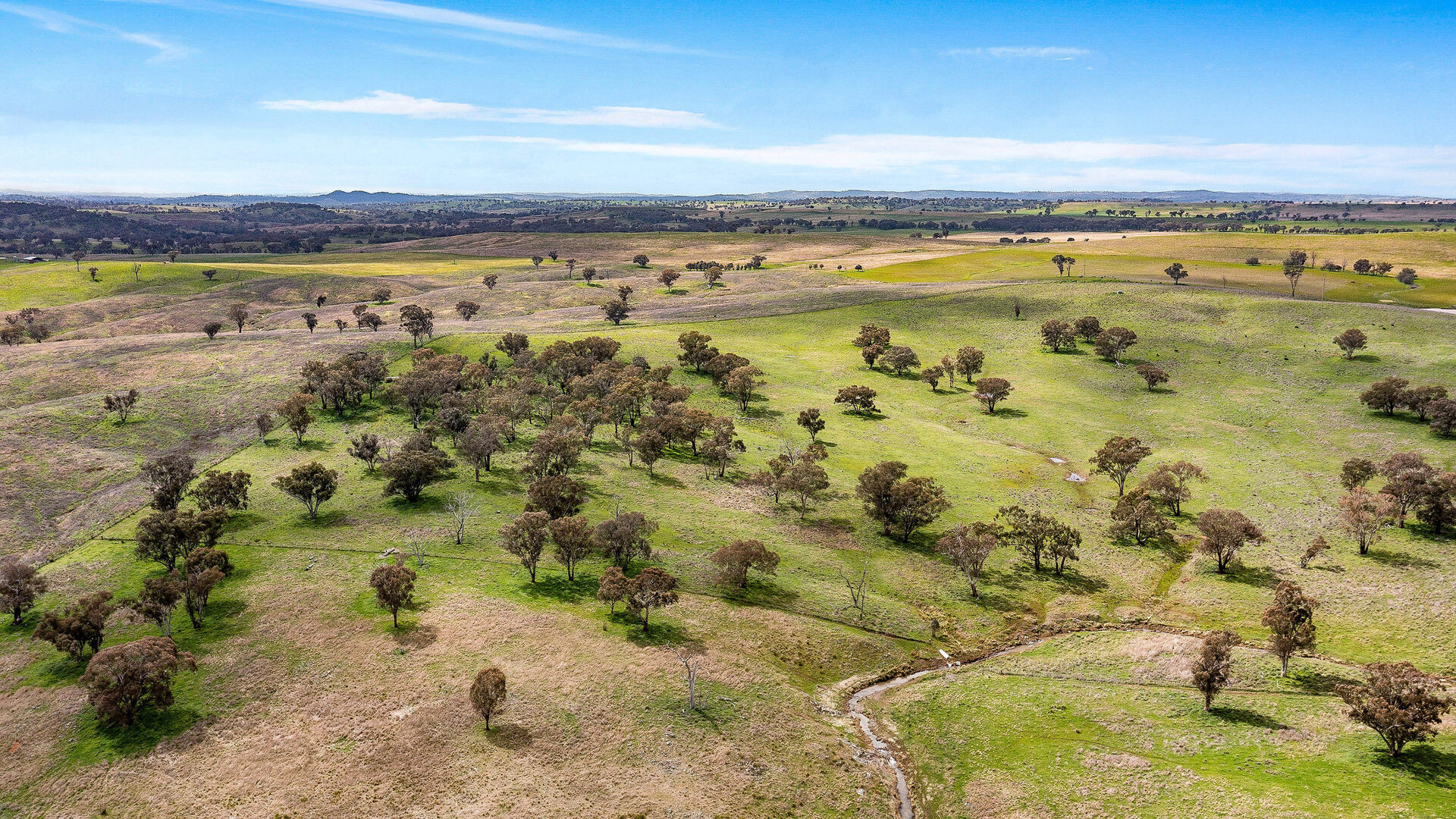 113 Three Rivers Road, Molong NSW 2866 - photo 19