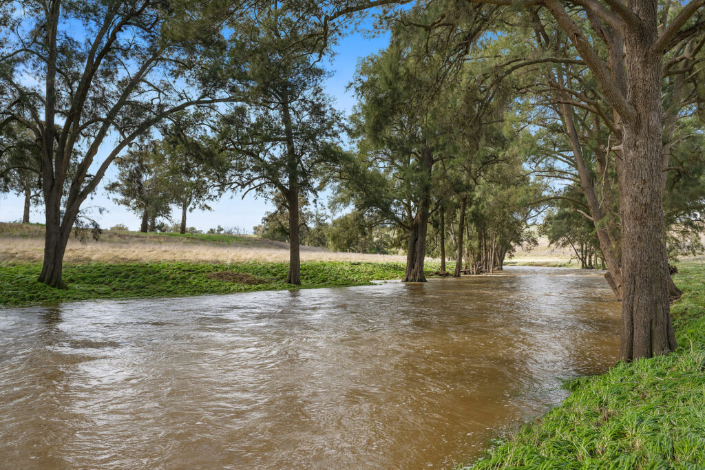 113 Three Rivers Road, Molong NSW 2866 - photo 3