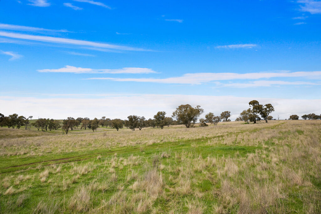 113 Three Rivers Road, Molong NSW 2866 - photo 24