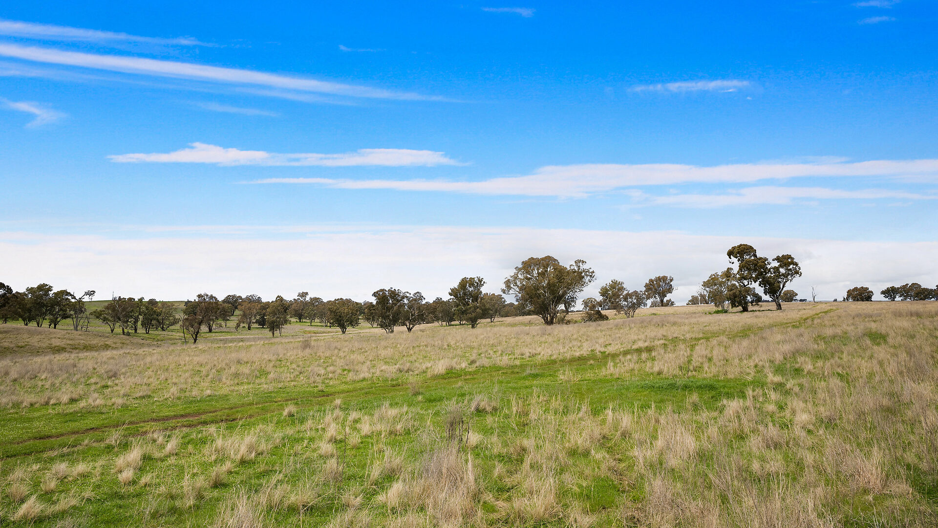 113 Three Rivers Road, Molong NSW 2866 - photo 24