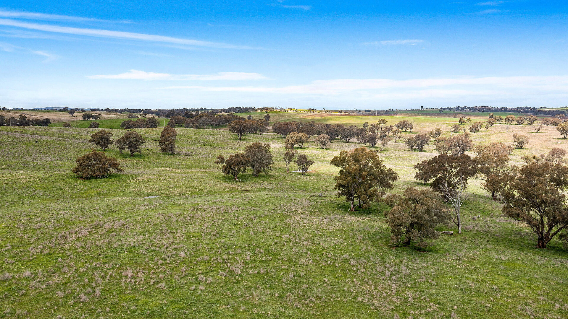 113 Three Rivers Road, Molong NSW 2866 - photo 25