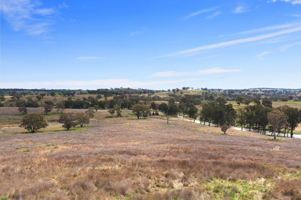 113 Three Rivers Road, Molong NSW 2866 - photo 4