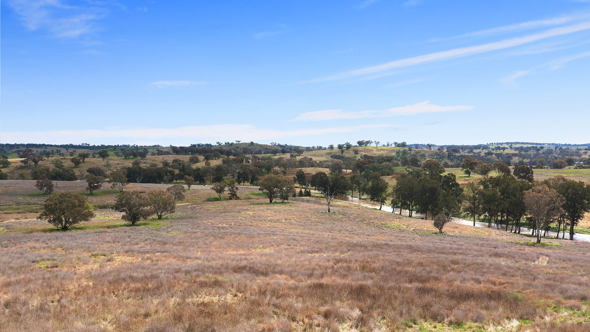 113 Three Rivers Road, Molong NSW 2866 - photo 4