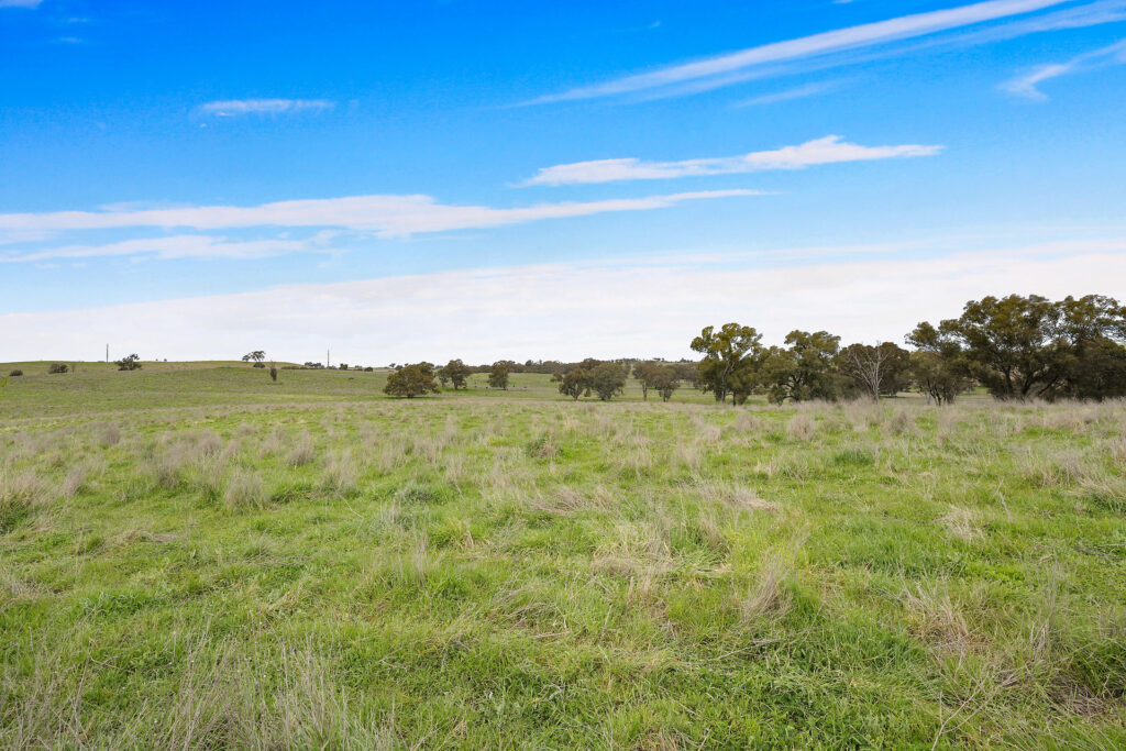 113 Three Rivers Road, Molong NSW 2866 - photo 5