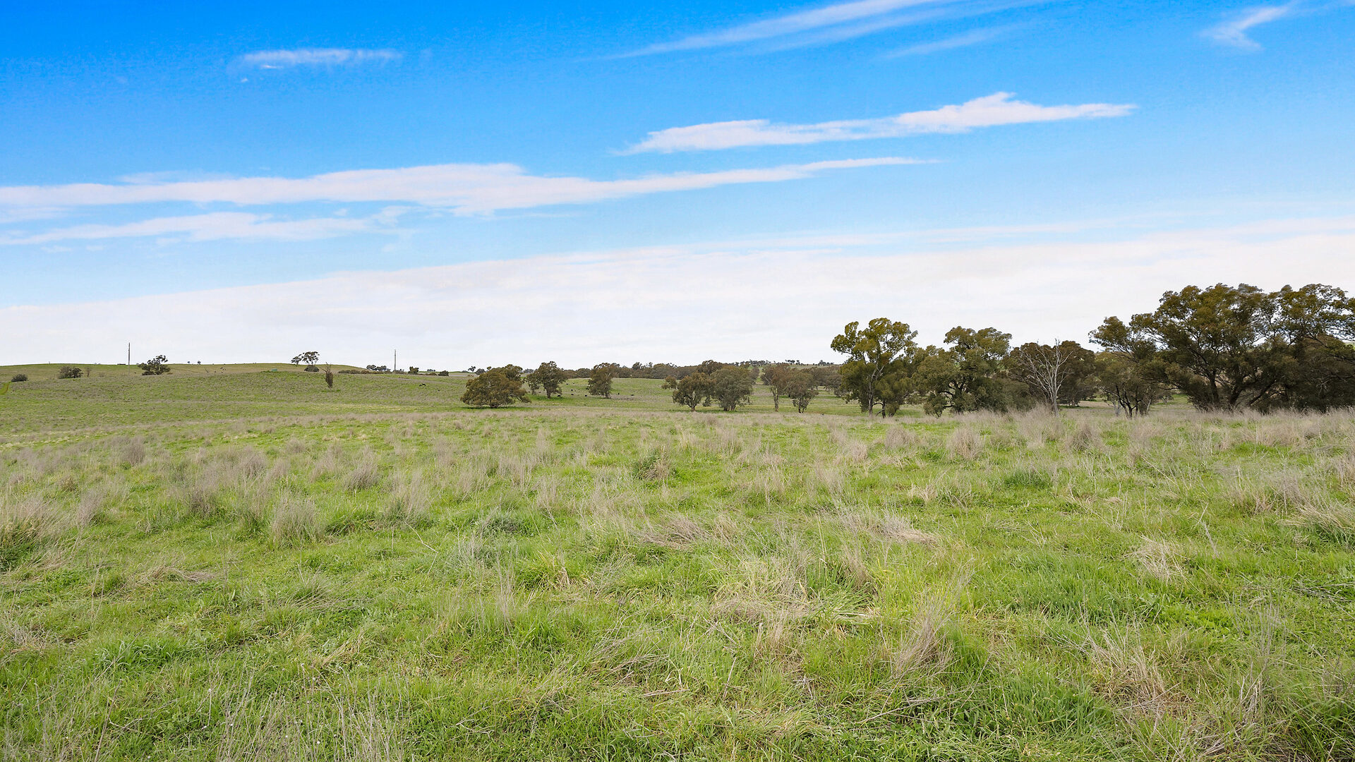 113 Three Rivers Road, Molong NSW 2866 - photo 5