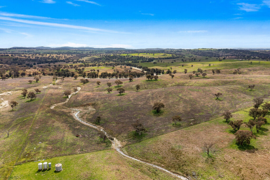 113 Three Rivers Road, Molong NSW 2866 - photo 6