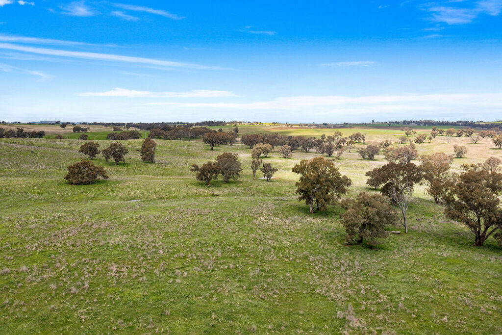 113 Three Rivers Road, Molong NSW 2866 - photo 7