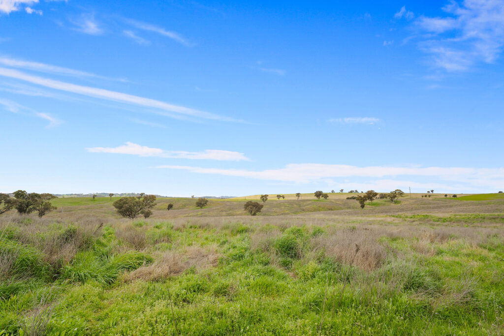 113 Three Rivers Road, Molong NSW 2866 - photo 9