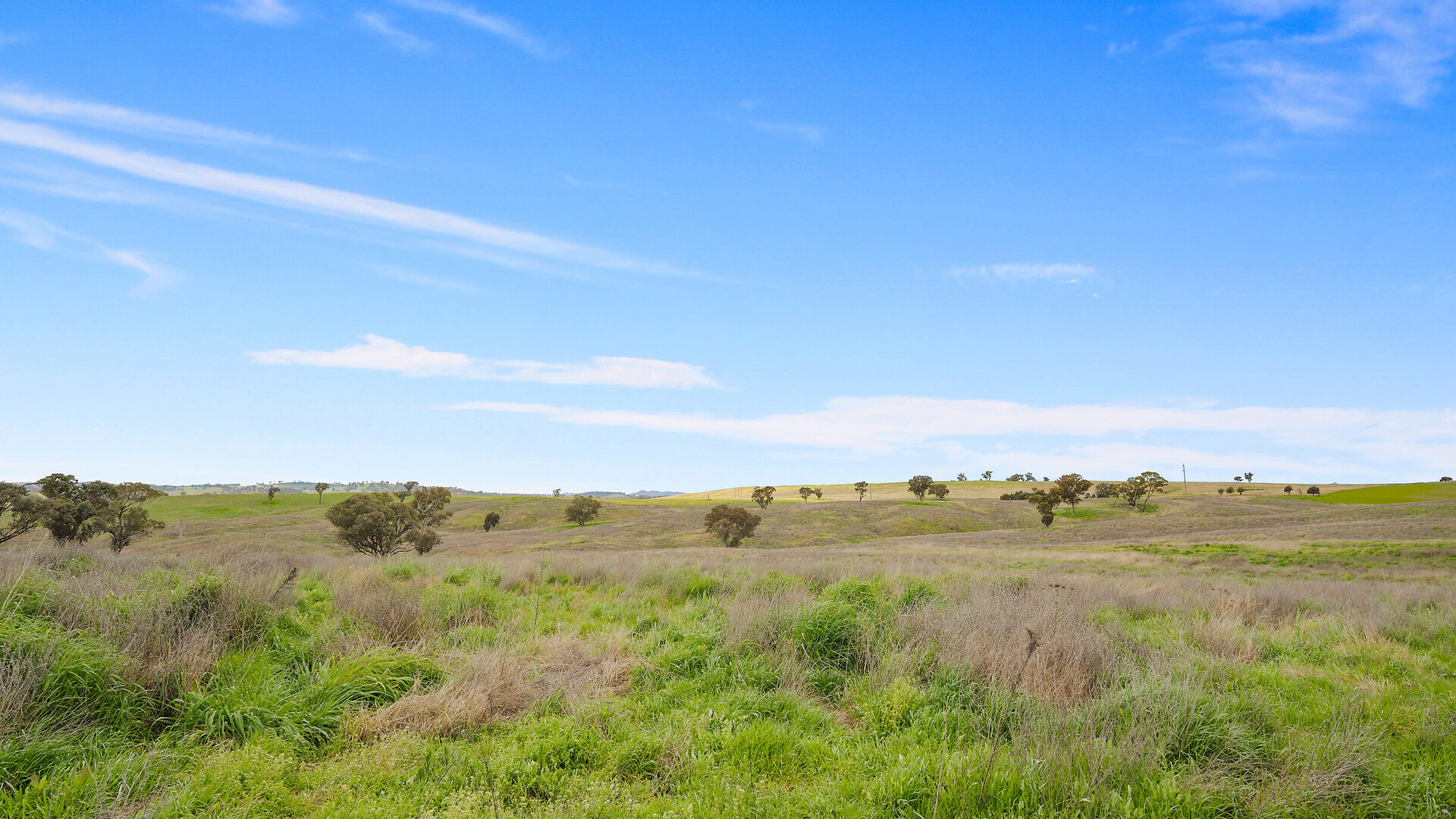 113 Three Rivers Road, Molong NSW 2866 - photo 9