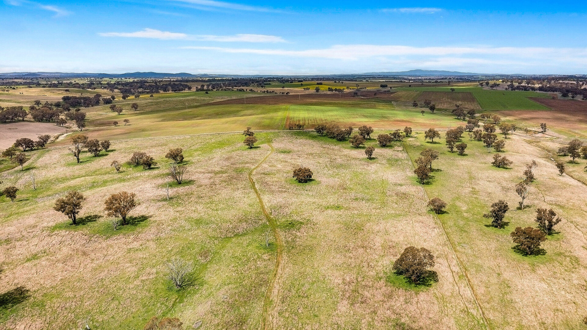 113 Three Rivers Road, Molong NSW 2866 - photo 10