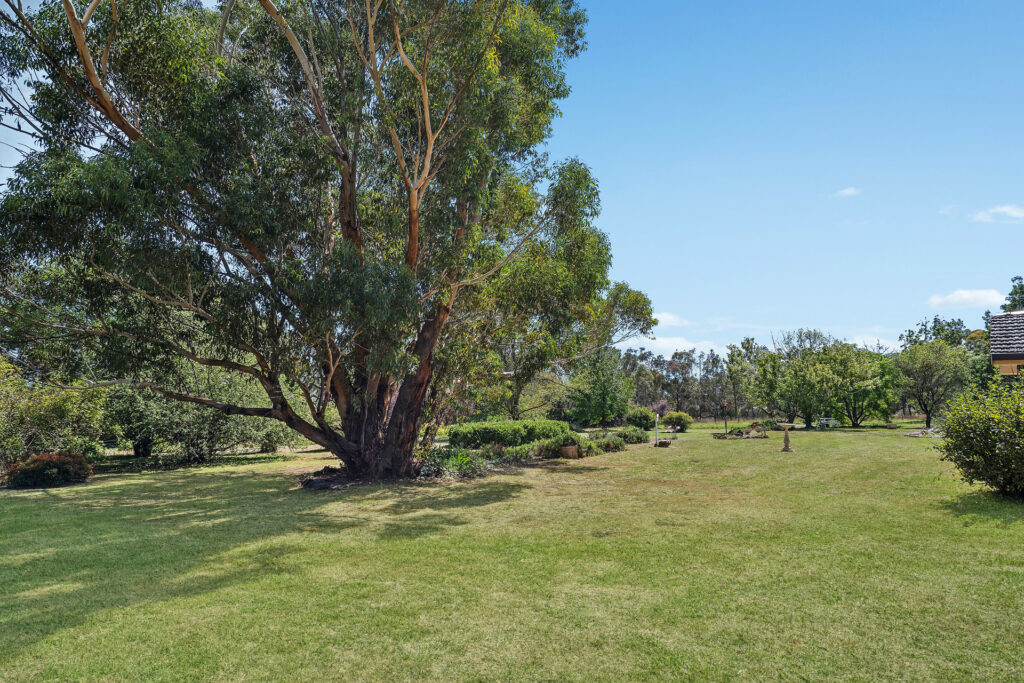 Sold - 1577 The Escort Way - New Property in Orange - Real Estate by Scott Petersen