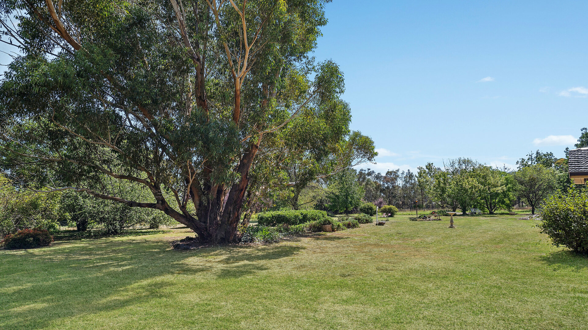 Sold - 1577 The Escort Way - New Property in Orange - Real Estate by Scott Petersen