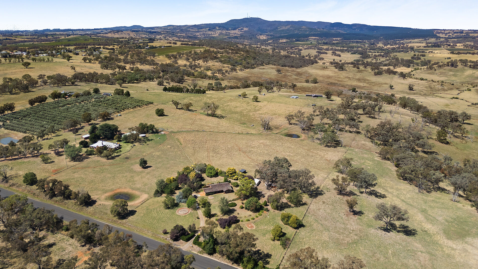 Sold - 1577 The Escort Way - New Property in Orange - Real Estate by Scott Petersen