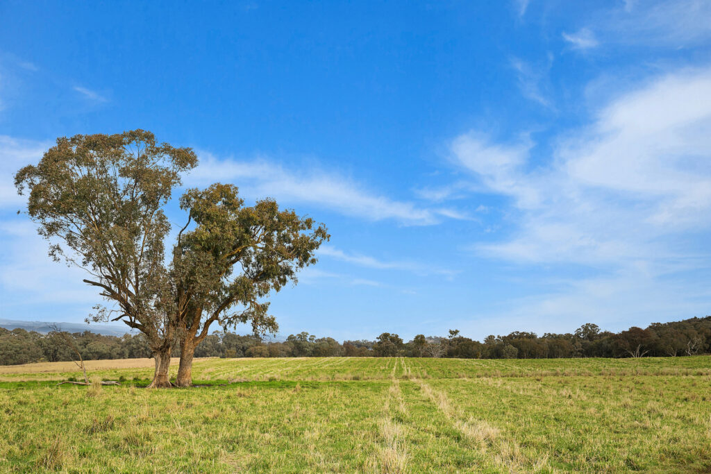 Sold - 687 Peabody Road - New Property in Molong - Real Estate by Scott Petersen