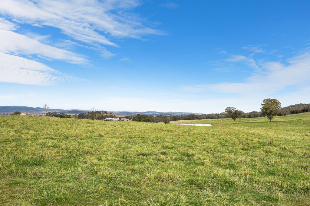 Sold - 687 Peabody Road - New Property in Molong - Real Estate by Scott Petersen