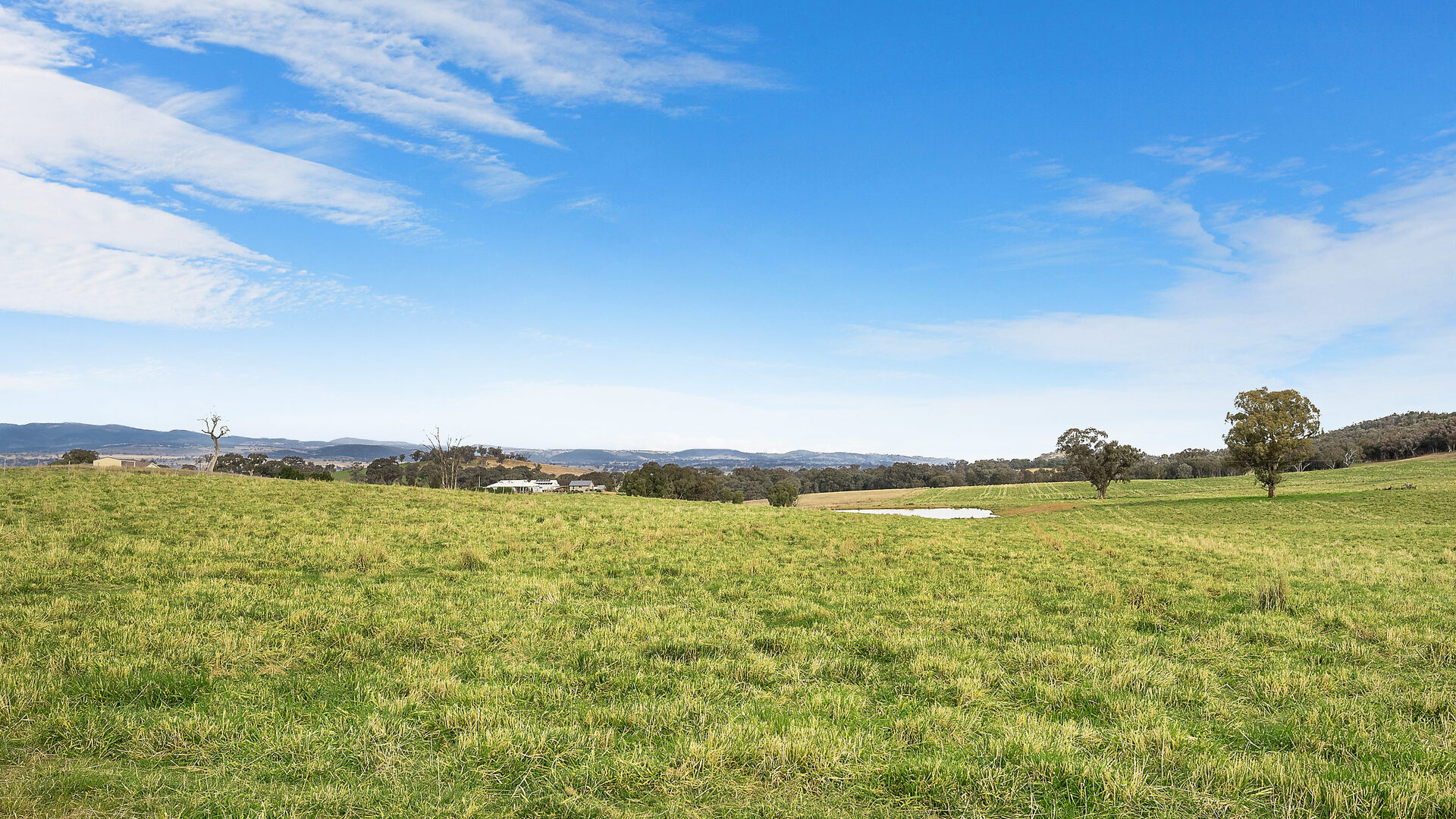 Sold - 687 Peabody Road - New Property in Molong - Real Estate by Scott Petersen