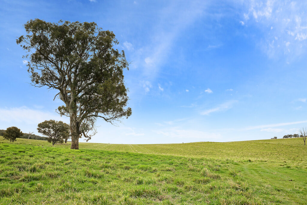 Sold - 687 Peabody Road - New Property in Molong - Real Estate by Scott Petersen