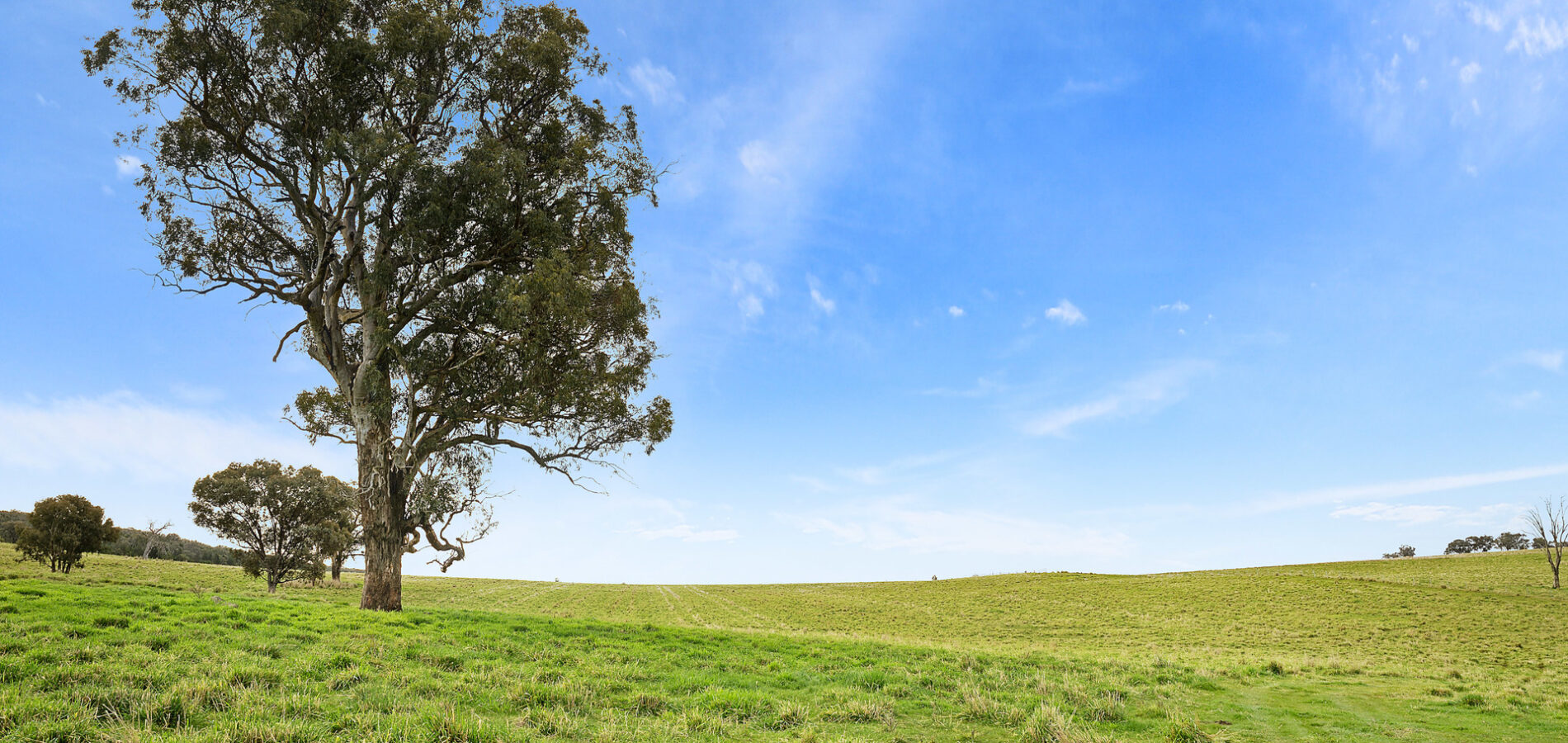 Sold - 687 Peabody Road - New Property in Molong - Real Estate by Scott Petersen