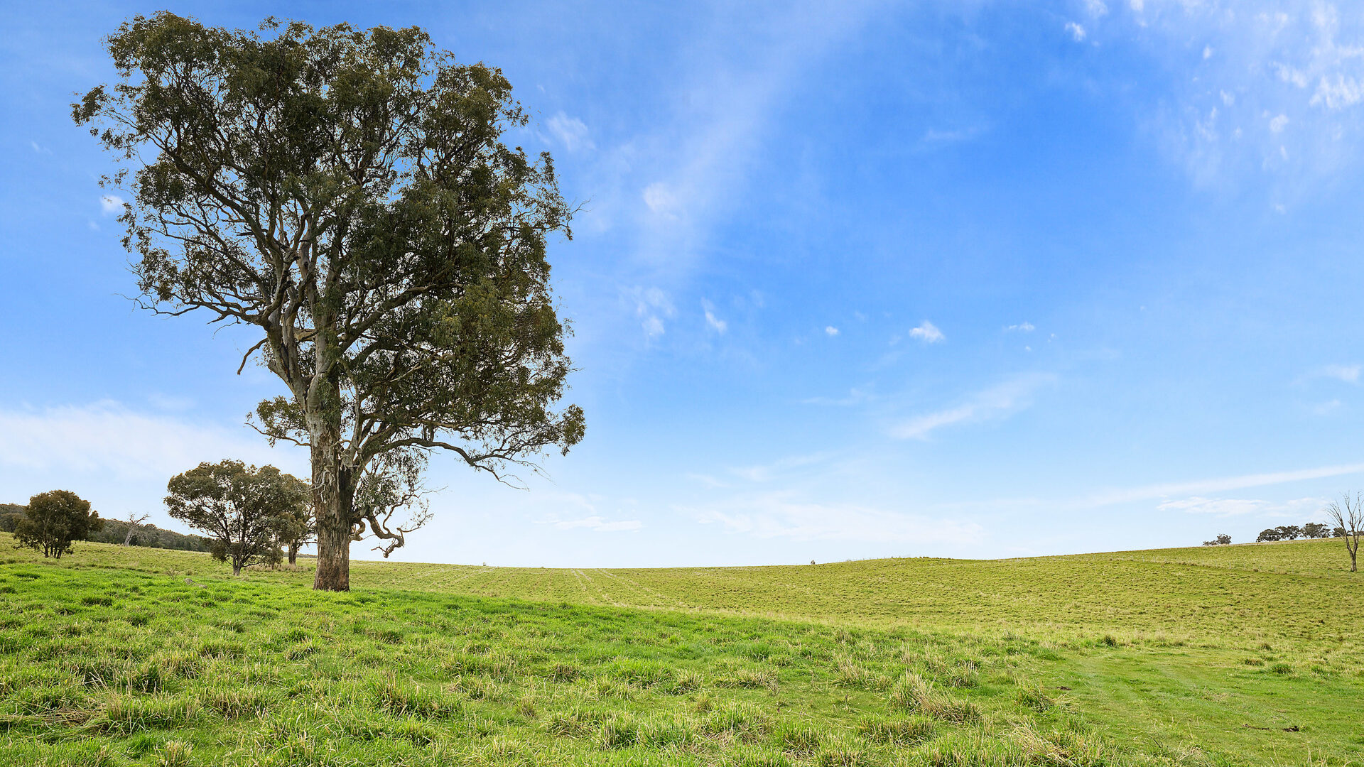 Sold - 687 Peabody Road - New Property in Molong - Real Estate by Scott Petersen