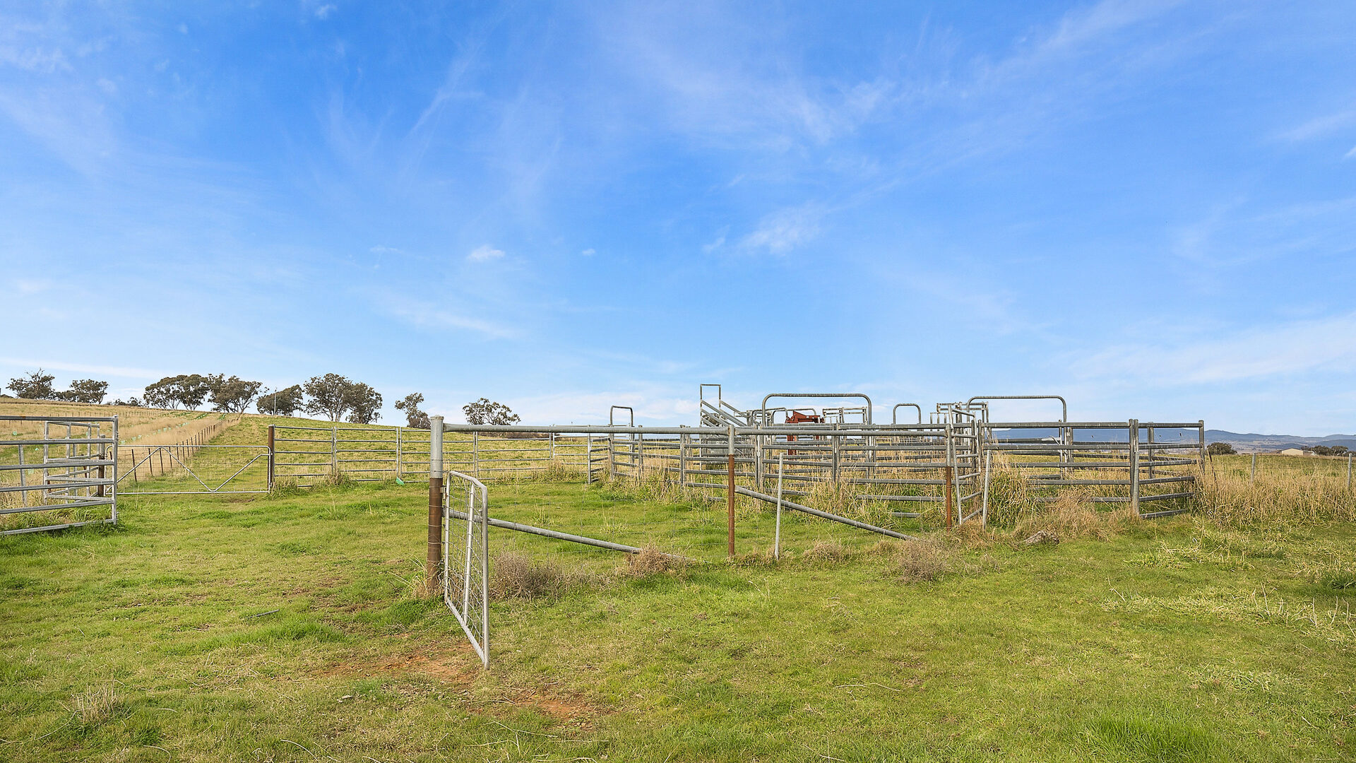 Sold - 687 Peabody Road - New Property in Molong - Real Estate by Scott Petersen