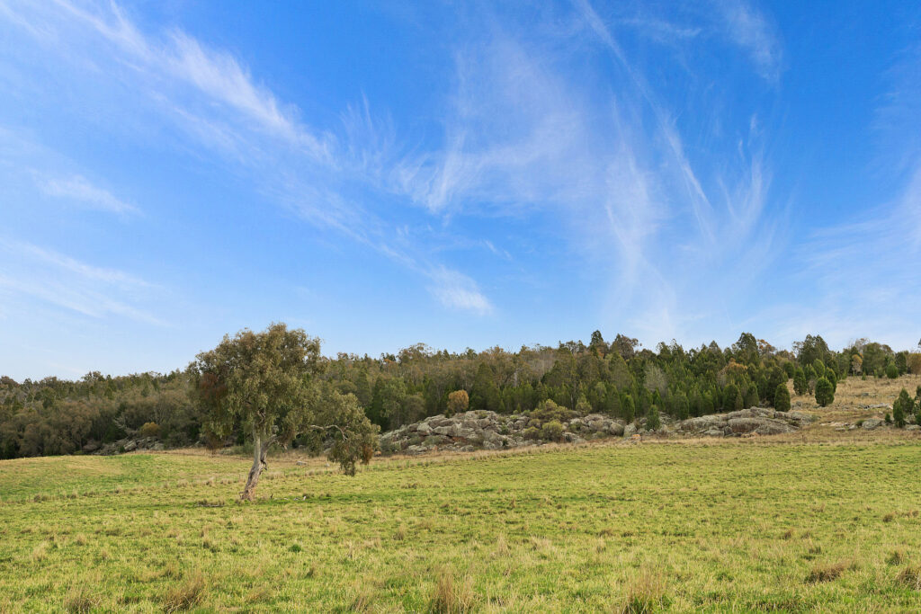 Sold - 687 Peabody Road - New Property in Molong - Real Estate by Scott Petersen
