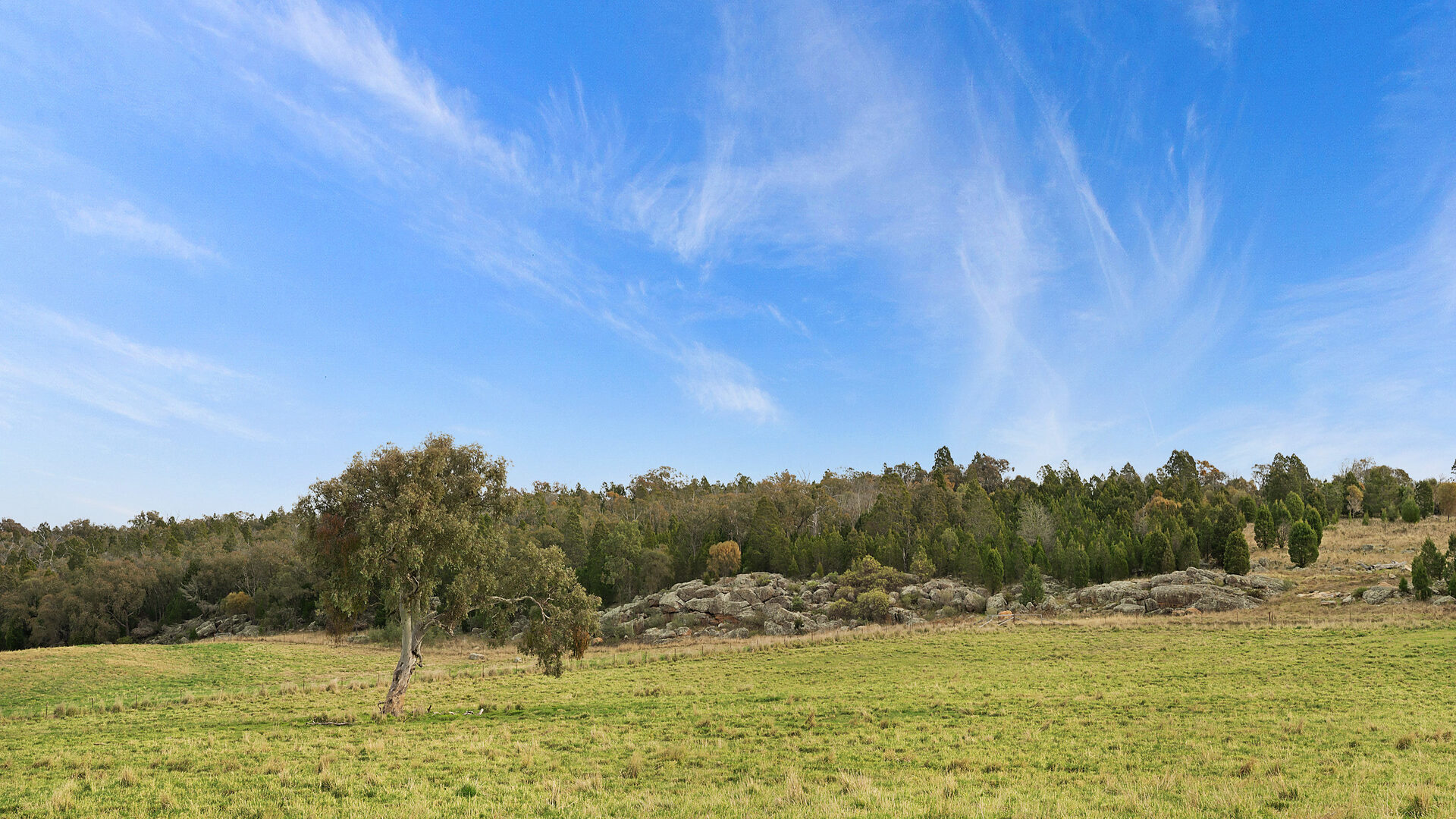 Sold - 687 Peabody Road - New Property in Molong - Real Estate by Scott Petersen