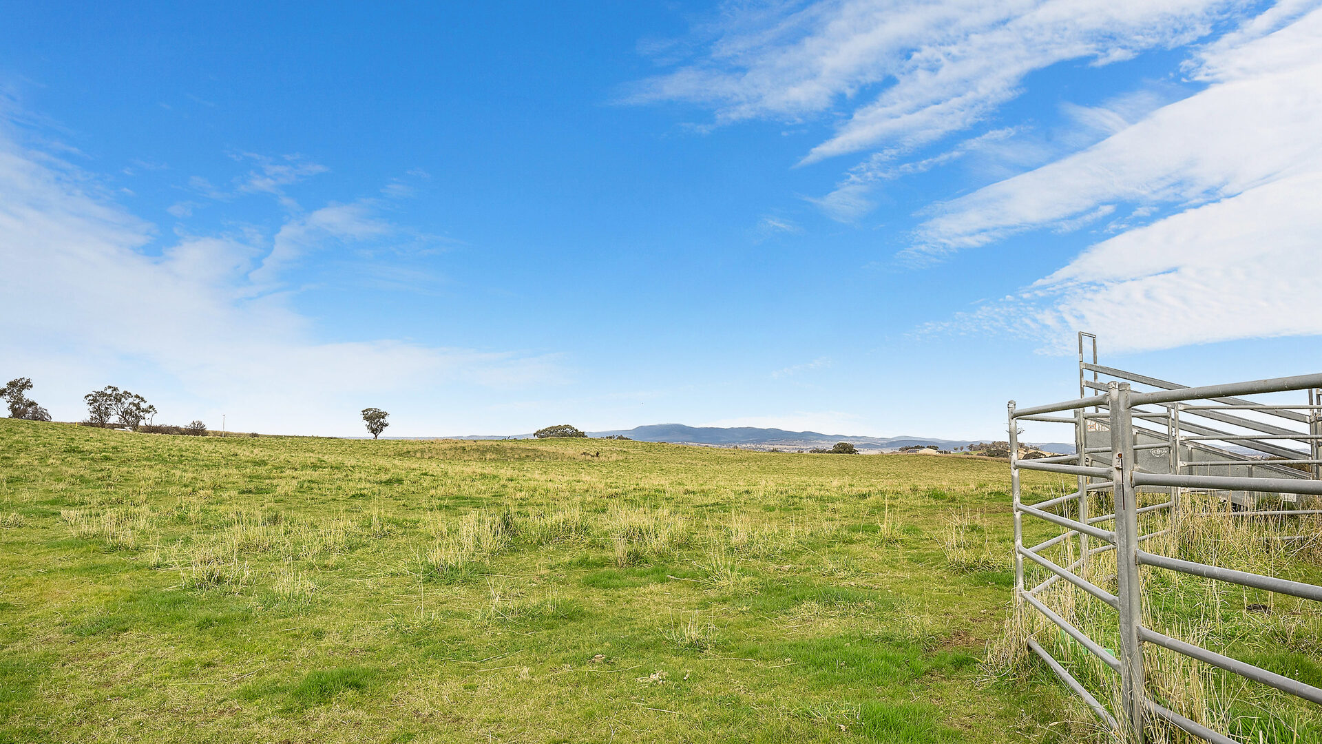 Sold - 687 Peabody Road - New Property in Molong - Real Estate by Scott Petersen