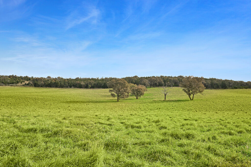 Sold - 687 Peabody Road - New Property in Molong - Real Estate by Scott Petersen