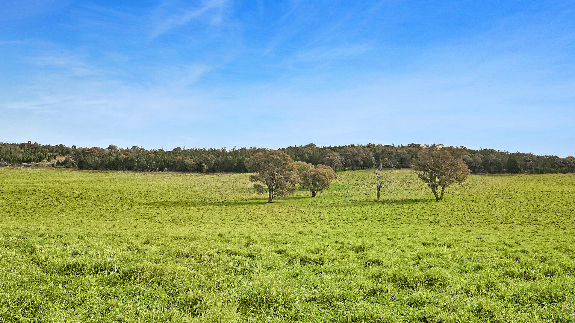Sold - 687 Peabody Road - New Property in Molong - Real Estate by Scott Petersen