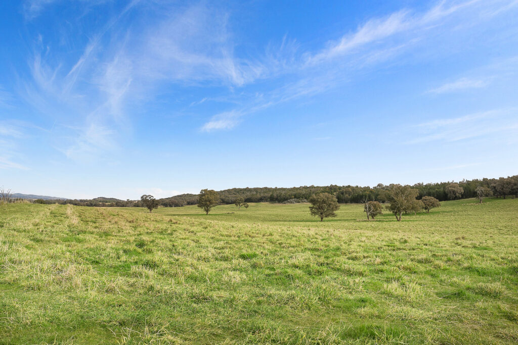 Sold - 687 Peabody Road - New Property in Molong - Real Estate by Scott Petersen