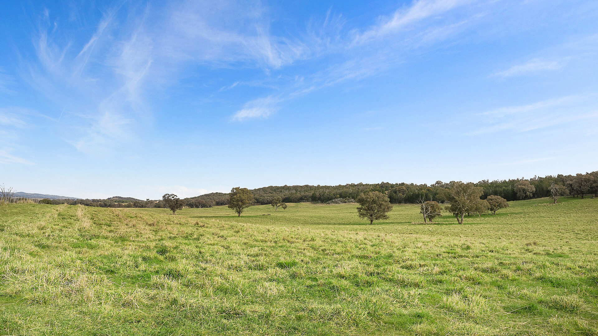 Sold - 687 Peabody Road - New Property in Molong - Real Estate by Scott Petersen
