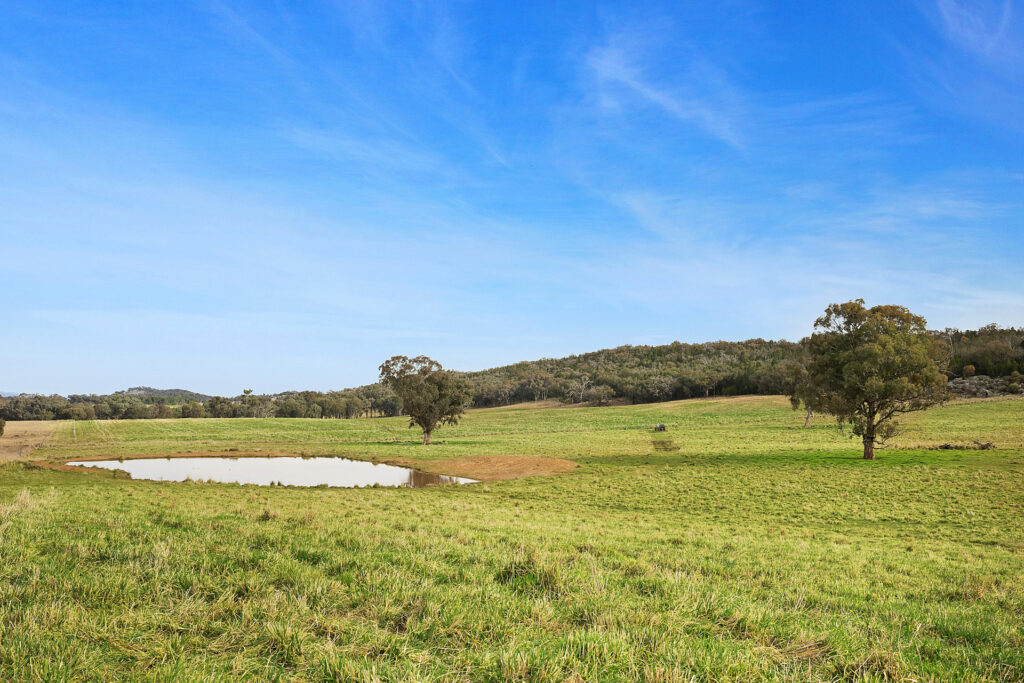 Sold - 687 Peabody Road - New Property in Molong - Real Estate by Scott Petersen