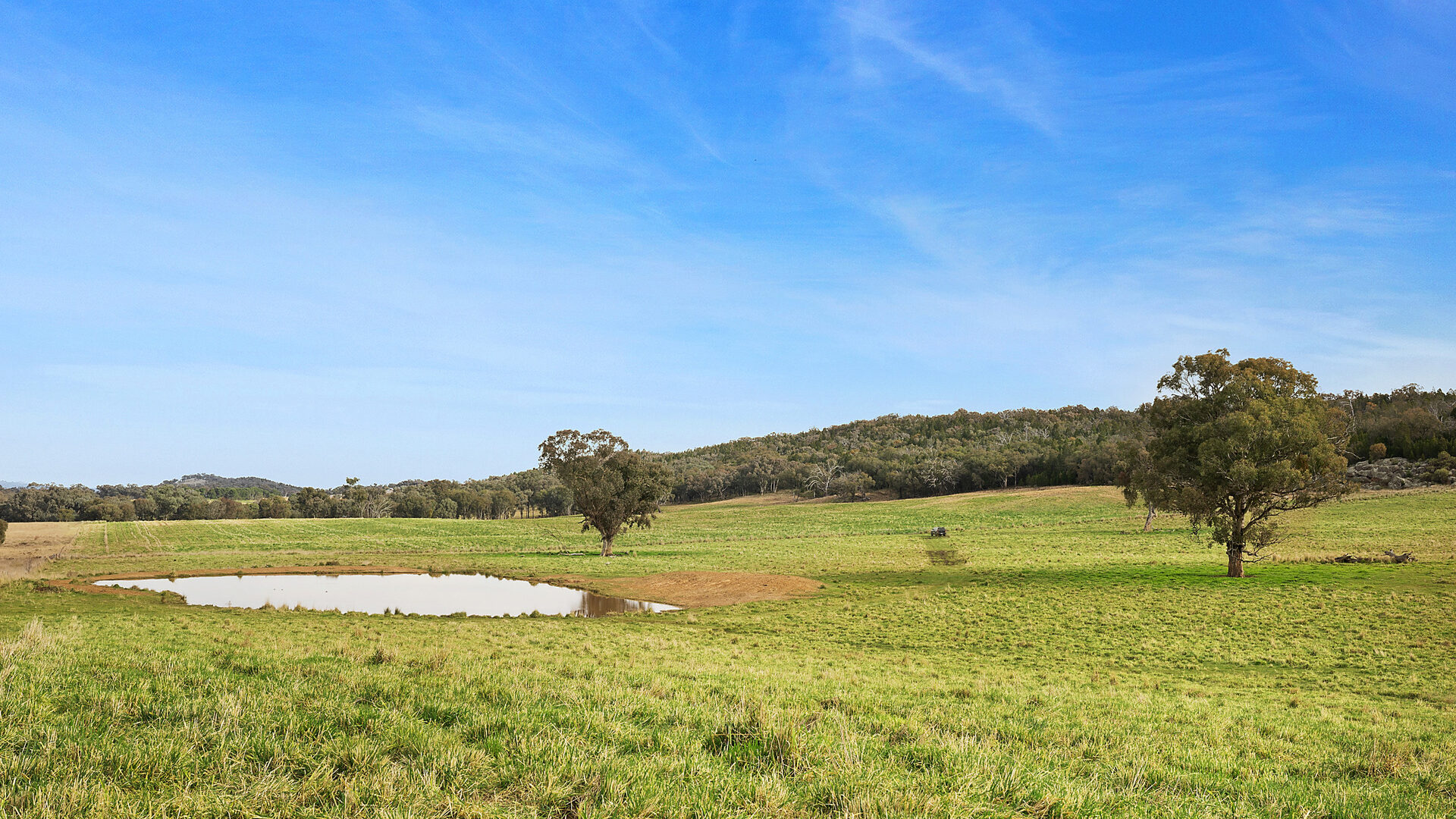 Sold - 687 Peabody Road - New Property in Molong - Real Estate by Scott Petersen