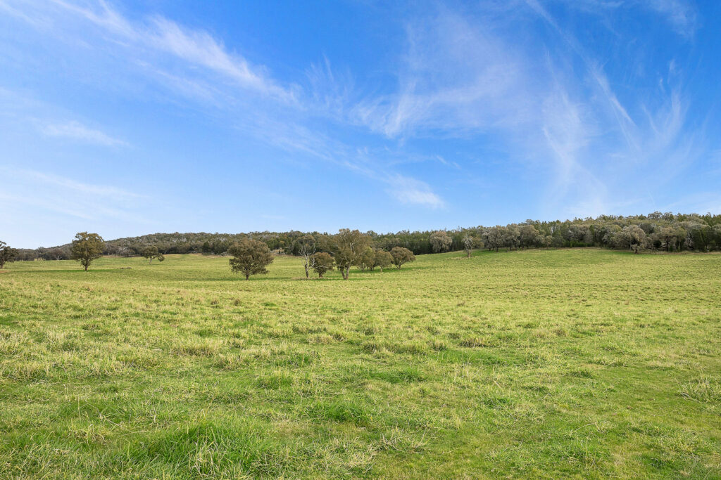 Sold - 687 Peabody Road - New Property in Molong - Real Estate by Scott Petersen